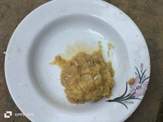 IMG20250612163957.jpg