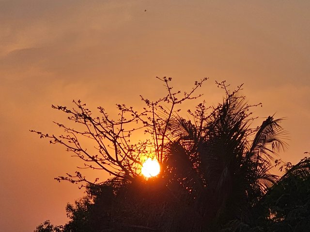 20250225_172250.jpg