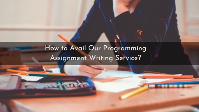 How to Avail Our Programming Assignment Writing Service.jpg