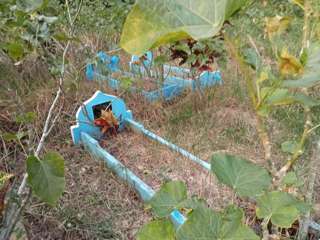IMG20250905180655.jpg