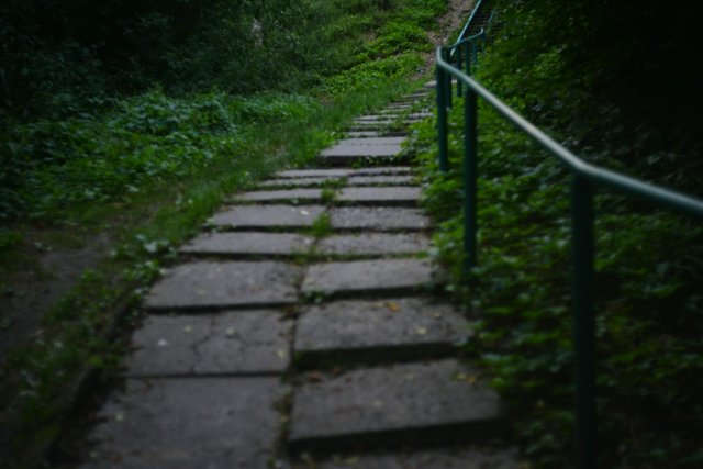 liana-s-ZghuqQFXtYU-unsplash.jpg