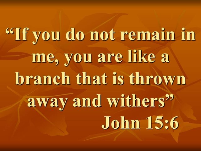 The ethical love of Jesus. If you do not remain in me, you are like a branch that is thrown away and withers..jpg