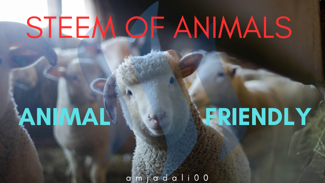 Steem Of animals.png