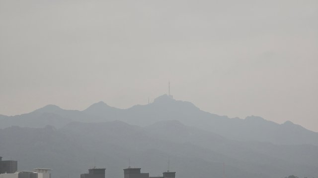 1000141254.jpg