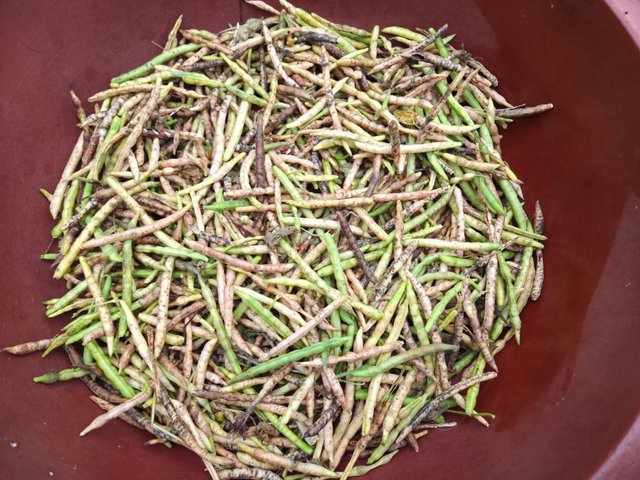 카카오스토리_2025_10_14 20_46_03.jpg