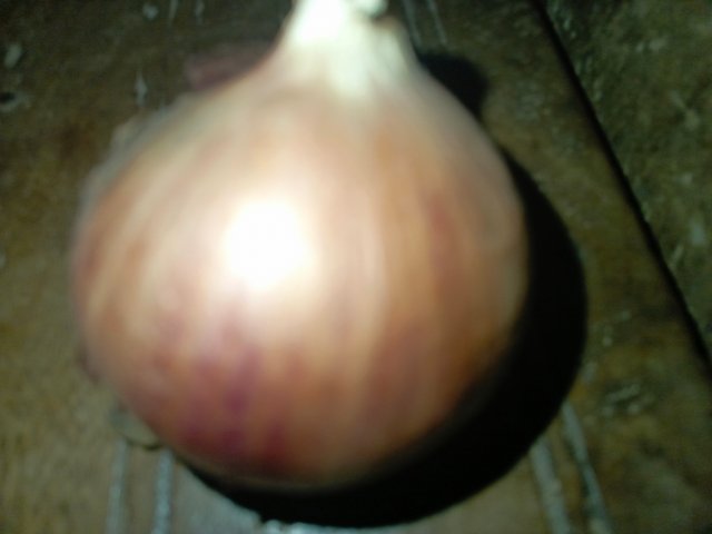 1000556398.jpg