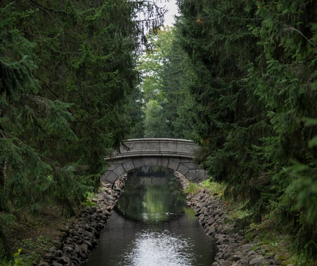 DSC02958-Панорама.jpg