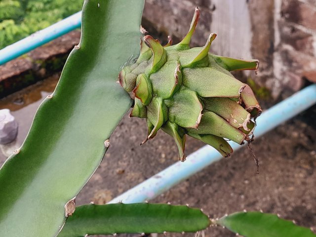 20250706_094647.jpg