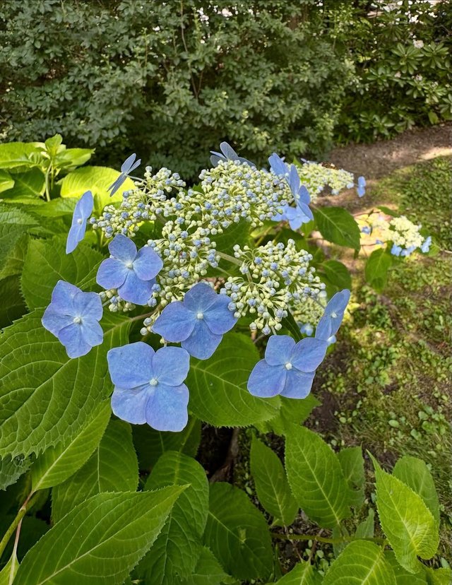 IMG_20250726_215638.jpg