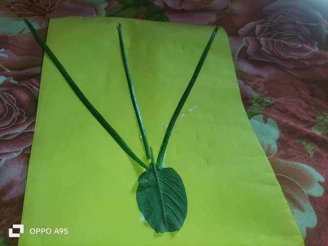 IMG20250604091055.jpg