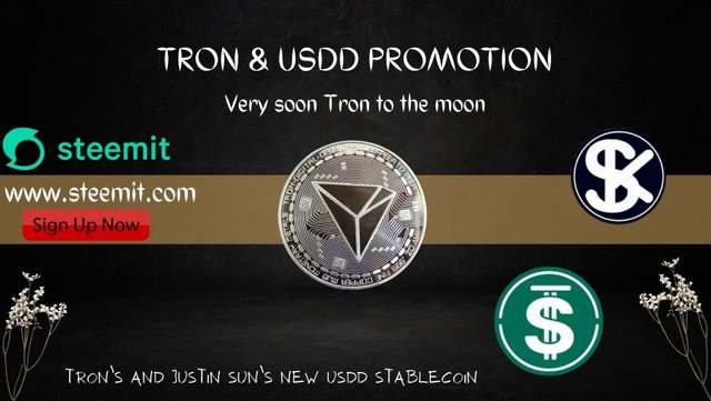 TRON & USDD PROMOTION.jpg