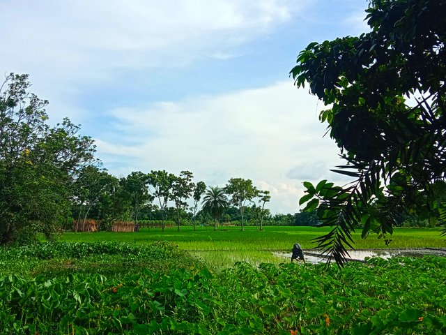 IMG_20250817_215403.jpg