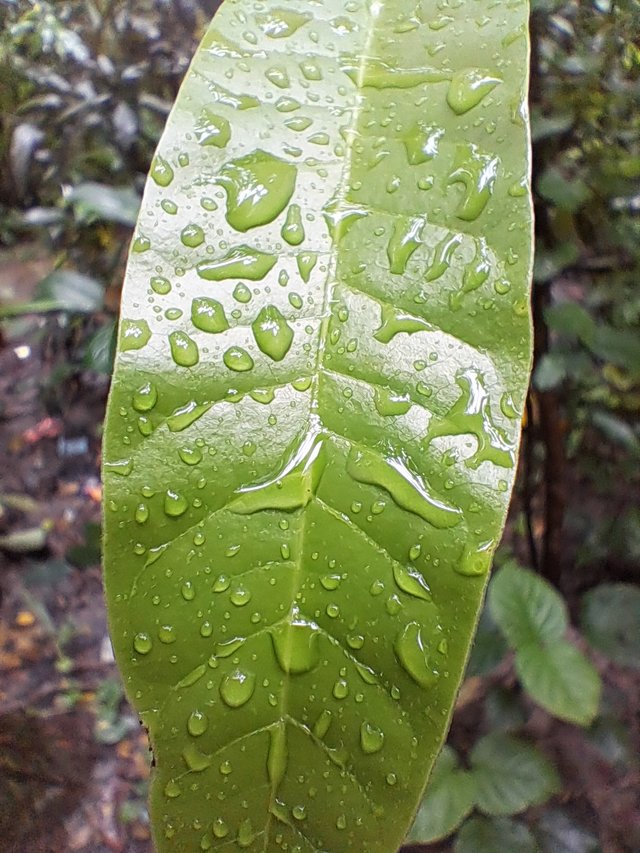 20250615_085158.jpg