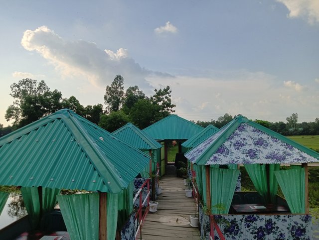 IMG20250612170807.jpg