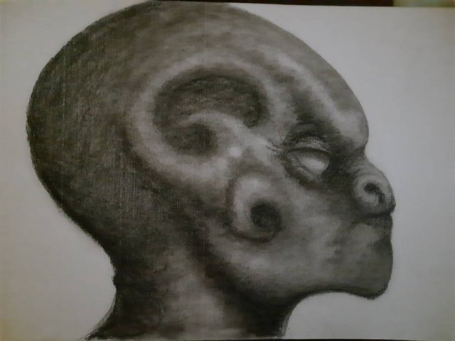 20250627_105027.jpg