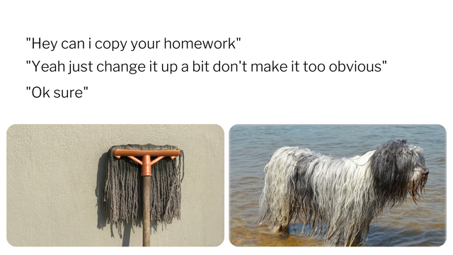 White Mop Homework Landscape Popular Meme.png