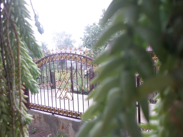 DSC04750.JPG