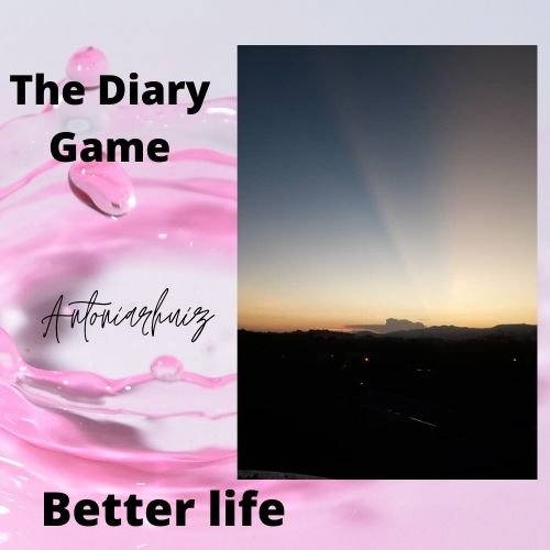 The Diary Game.jpg