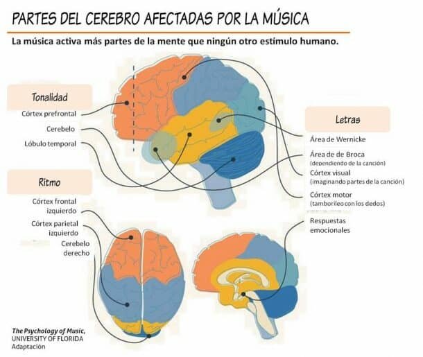 Cerebro-y-musica-1-610x515.jpg