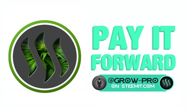 contest-win---pay-it-forward.jpg