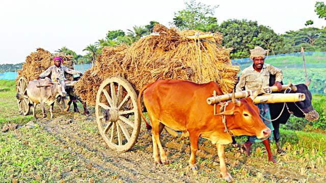 গরুগাড়ি-2022-07-25-18-51-00.jpg