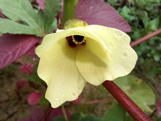 20250620_101356.jpg
