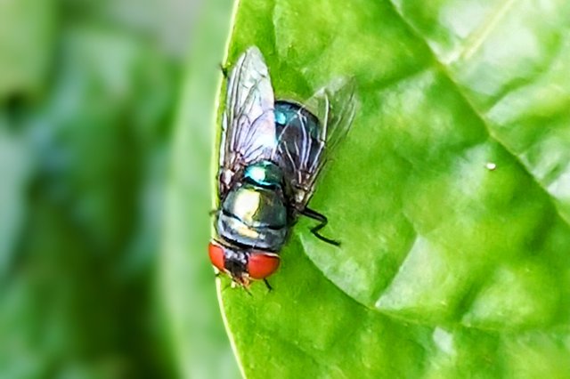 20250718_143504~3.jpg
