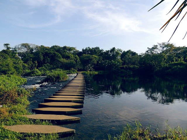DSCN1336.jpg