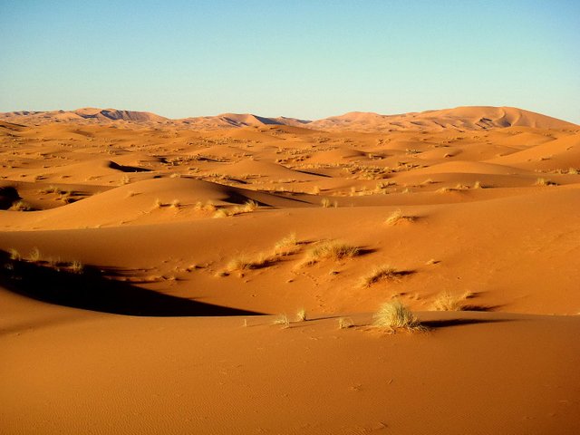 Sahara-Desert-12.jpg