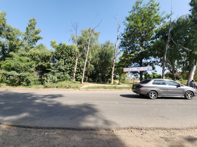 1000409150.jpg