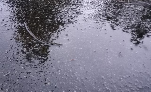 0673-Puddle.jpg