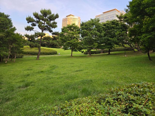 1000016180.jpg