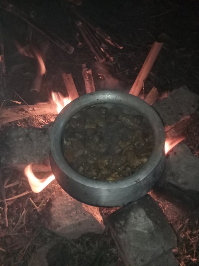 IMG20240706004235.jpg