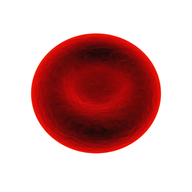 red-blood-cell-1861640_960_720.webp