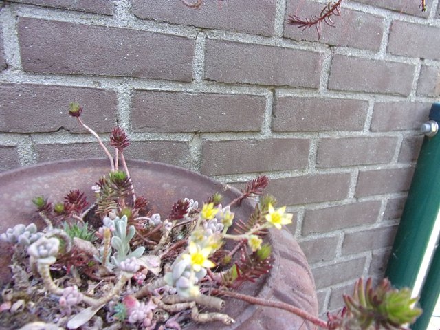 100_2694.JPG