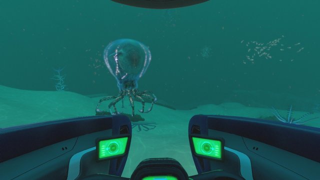 crabsquid.jpg