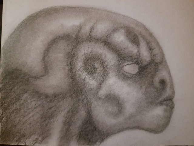 20250504_102022.jpg