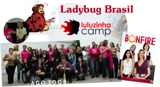 ladybug_luluzinhacamp_bonfire.png