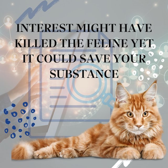 Interest Might Have Killed the Feline Yet It Could Save Your Substance.jpg