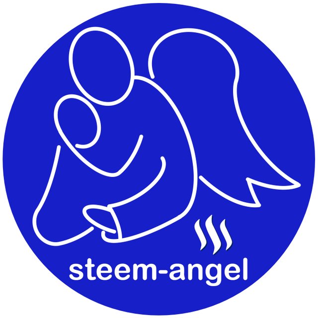 Steem-Angel Round Logo.jpg