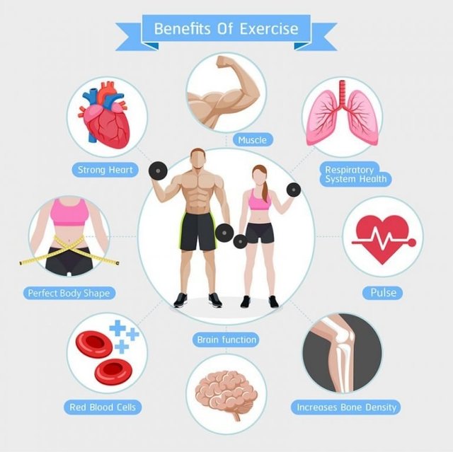 benefits-of-exercise-diagram-vector-20431041-e1658967224596-768x829.jpg