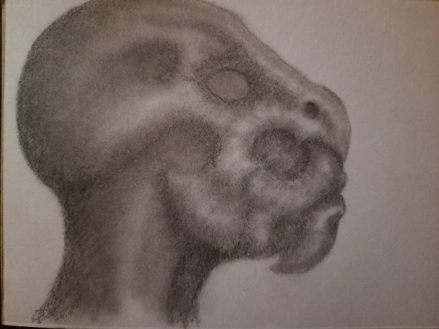 20250429_105549.jpg