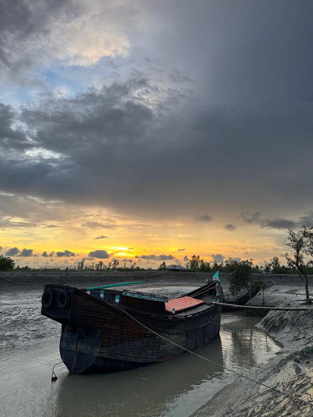 IMG_5913.jpeg