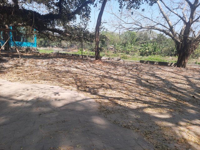 20250307_135552.jpg