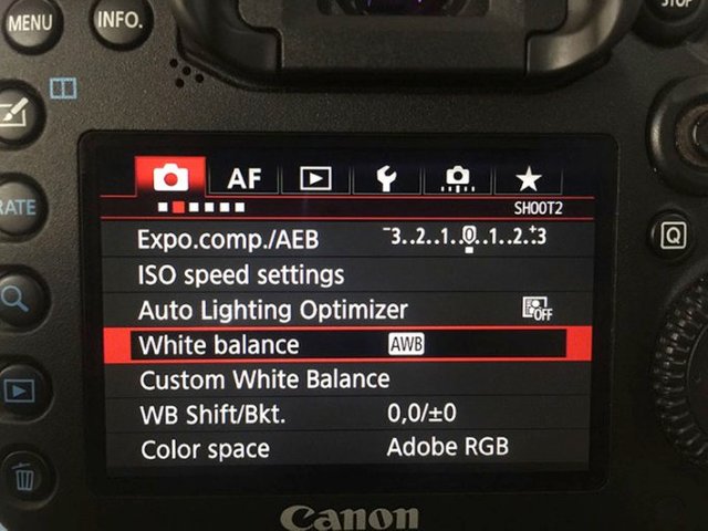 White Balance Canon JJC WB-F1 Universal White Balance Handheld