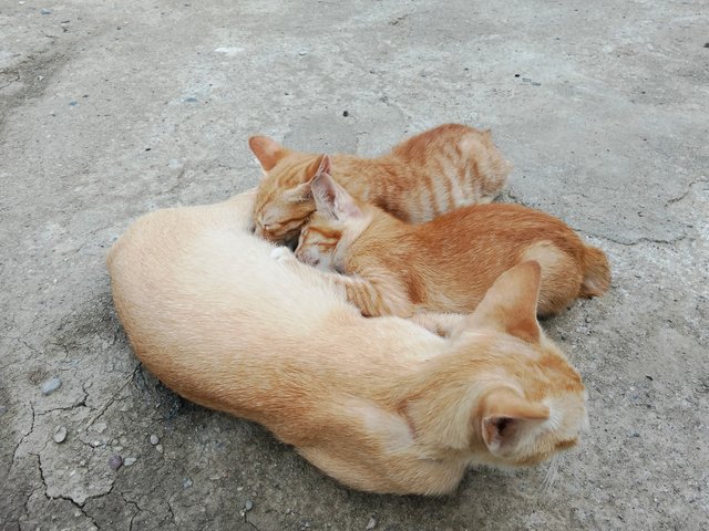 1000001672.jpg