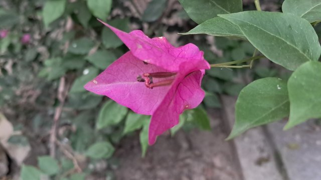 20250509_161334.jpg