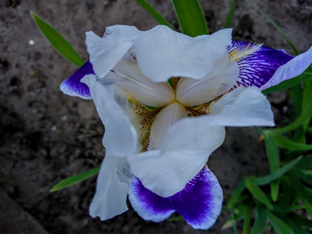 IMG_20200528_191115~3.jpg
