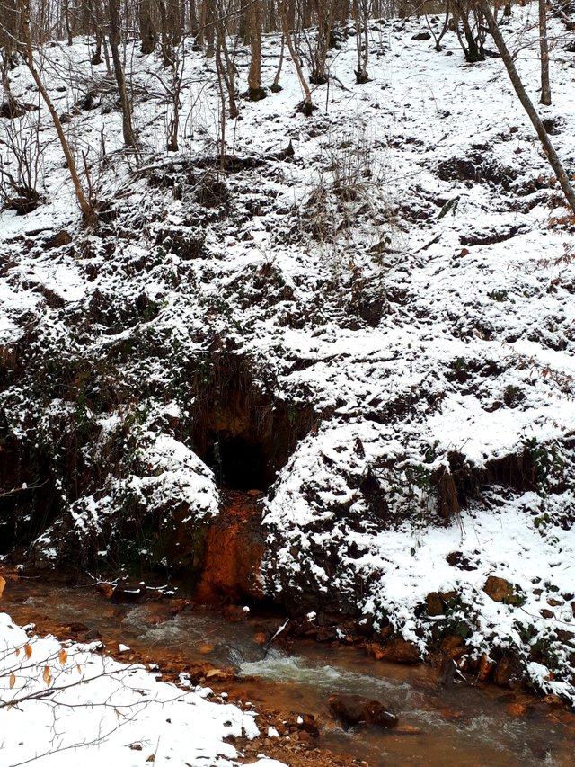 20190213_144616.jpg