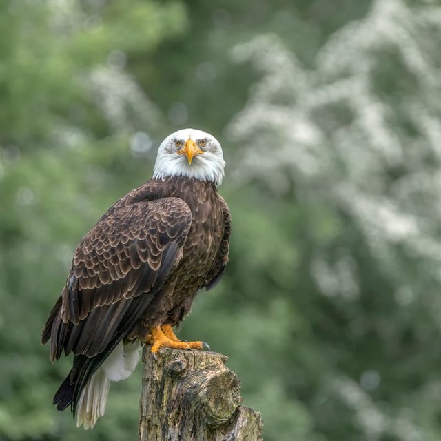 premium_photo-1661963735918-0c6fb3ba5141.jpeg